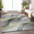 Machine Washable Indoor/Outdoor Cinead ACN1668 Aloe Rug-104386919