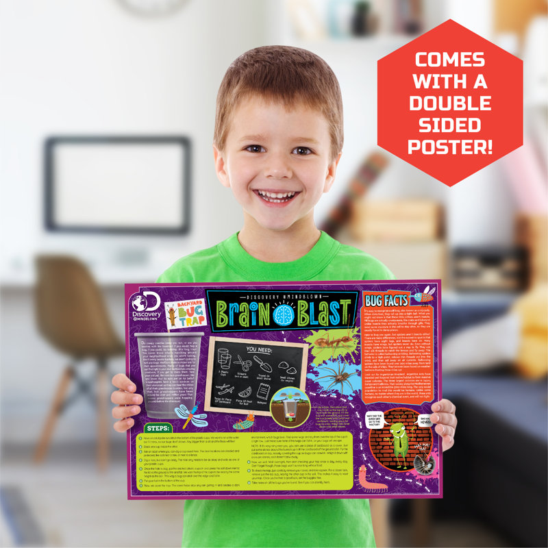 Dinosaur Excavation Kit 3D Skeleton