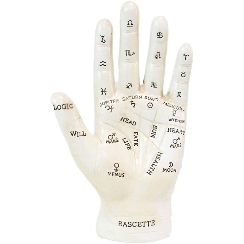 Ensemble de 2 paumes à main chirologie Wapakoneta