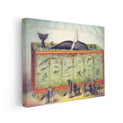 Circus Aquarium