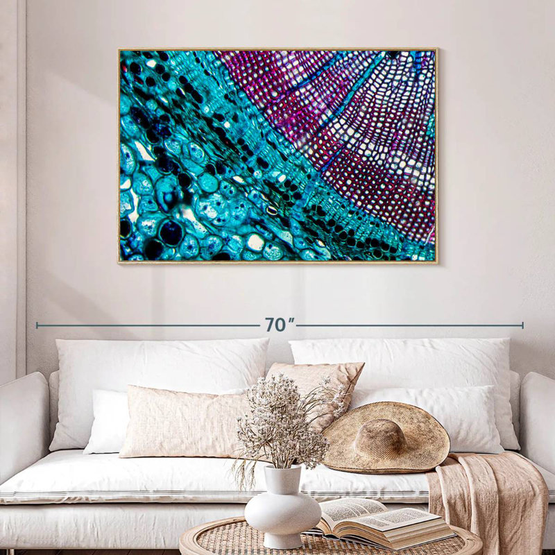 Pine Stem Under Microscope, Floating Frame Natural Wood, 46" X 31"