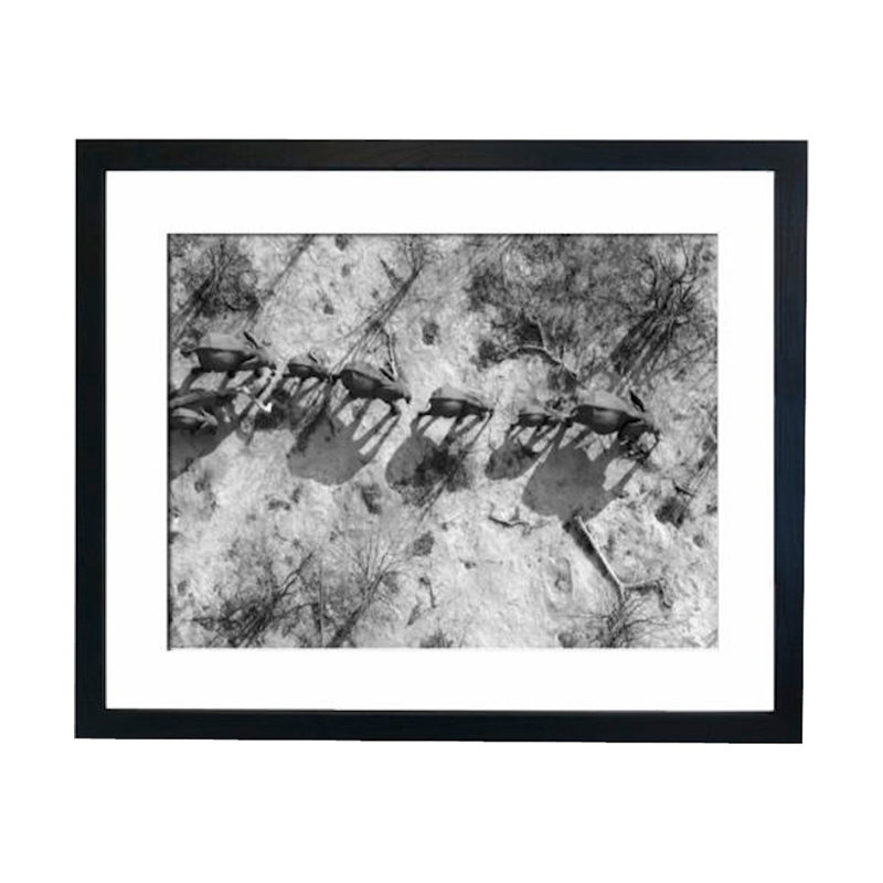 Single Picture Frame Print