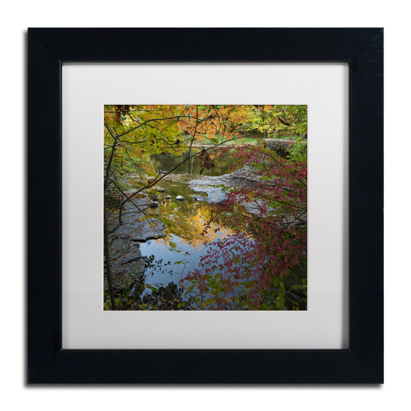 Autumn Trees Over Pond Framed Canvas Art with Black Frame