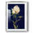 Argent argent sélectionné