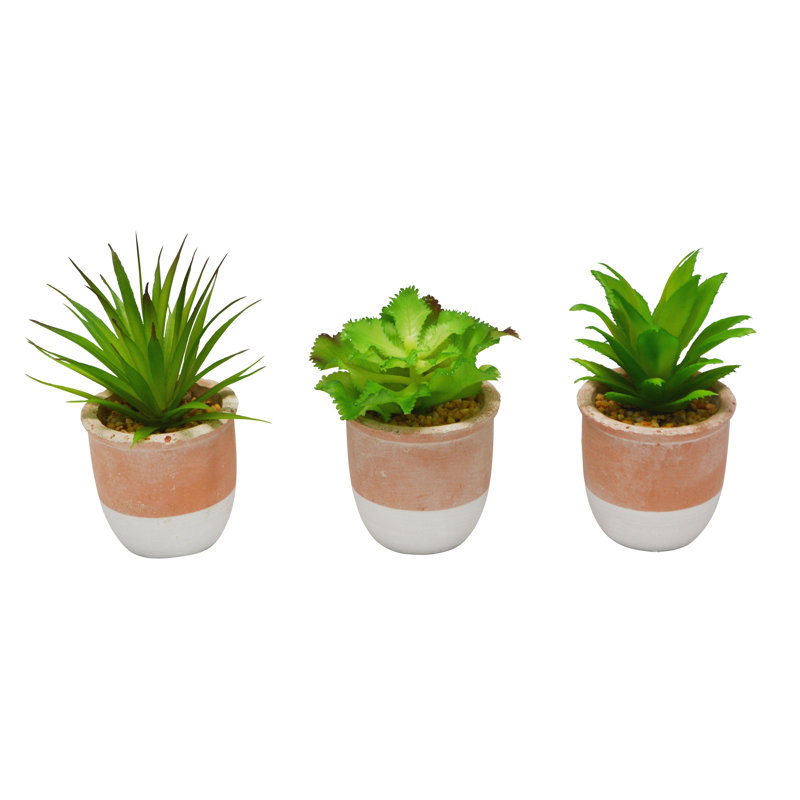 3 "plante grasse 3" en pot décoratif - ensemble de 3