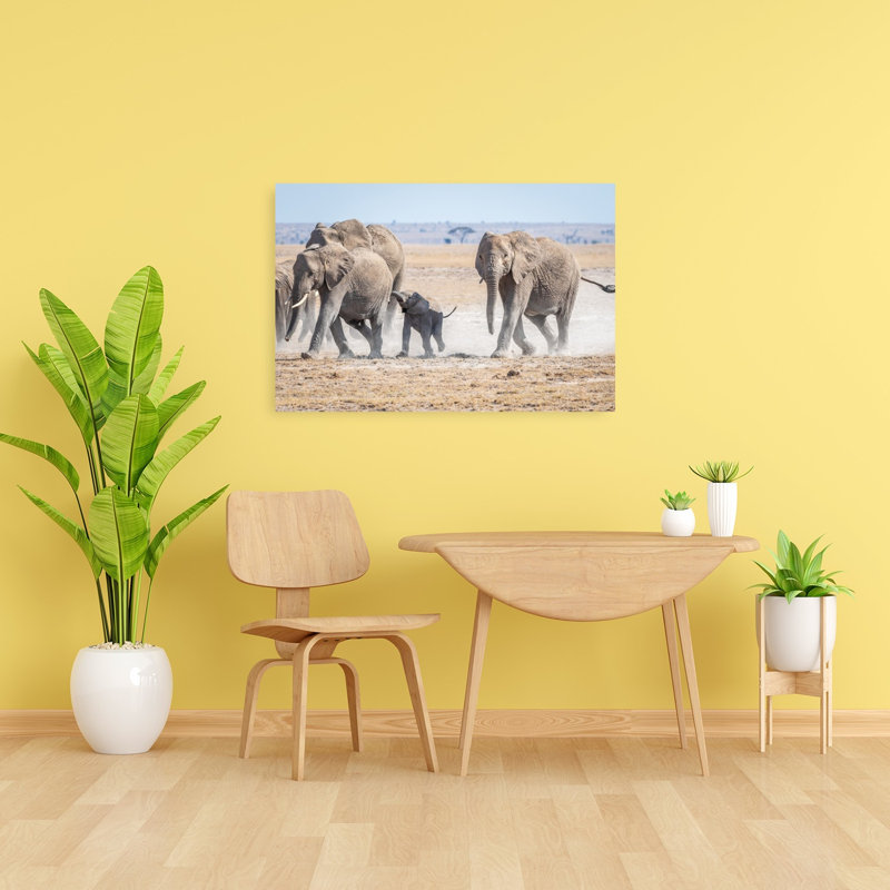 African Elephant Family Contemporary Wall Art Print by Jeffrey C. Sink - 1 Piece Wrapped Canvas Wall Art