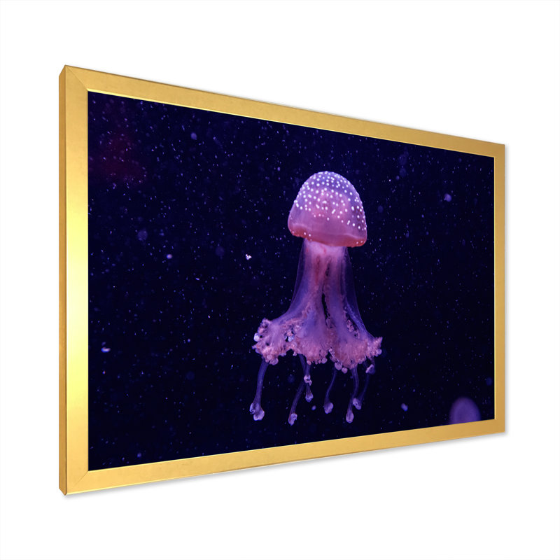 Macro d'une belle méduse Phyllorhiza - photographie sur toile, H 16 po x l 32 po, Cadre doré