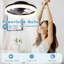 Ceiling Fan with LED Lights