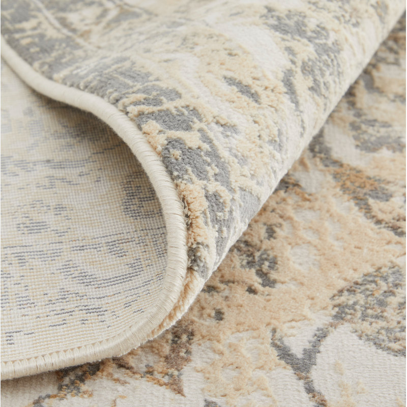 Neoma Casual Bordered Viscose/Polyester Area Rug, Rectangle 3'9" x 5'9"