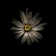 White Daisy VI by Brian Carson - Wrapped Canvas Print