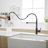 Pull Down Kitchen Faucet-125337695