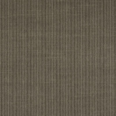 Velvet Encyclopedia IV Fabric
