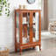 Armoire 2 portes avec portes en verre trempé