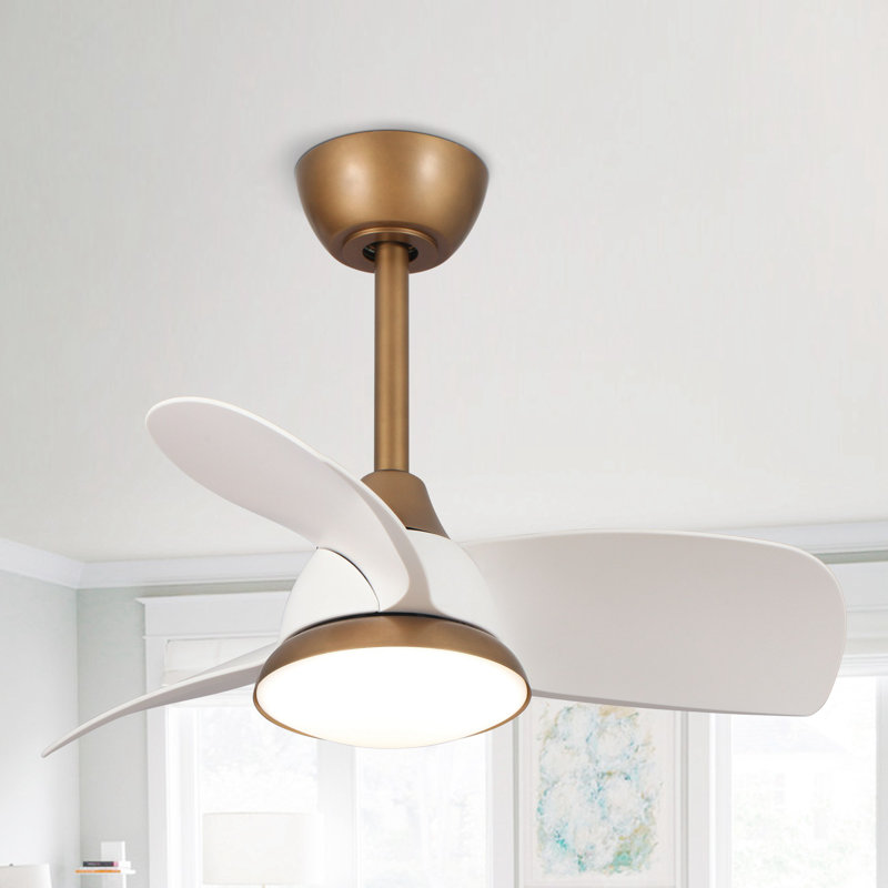 Haywa 28'' Ceiling Fan with LED Lights, White