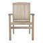Kia Outdoor Teak Dining Armchair