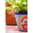 Talavera Ceramic Pot Planter