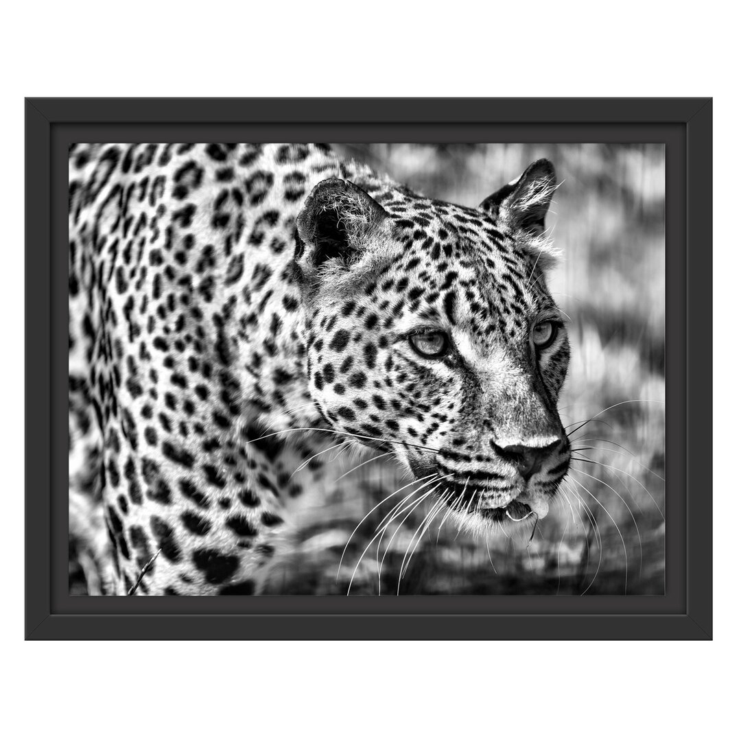 Gerahmtes Wandbild schleichender Leopard