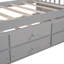 Lit de jour gris simple avec lit gigogne et tiroirs de rangement pratiques et polyvalents-1878402883