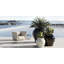 Venus Matt Polyethylene Pot Planter-65772845