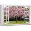 Fenêtre, paysage, fleurs de sakura en fleurs au printemps - impression sur toile tendue-98466603