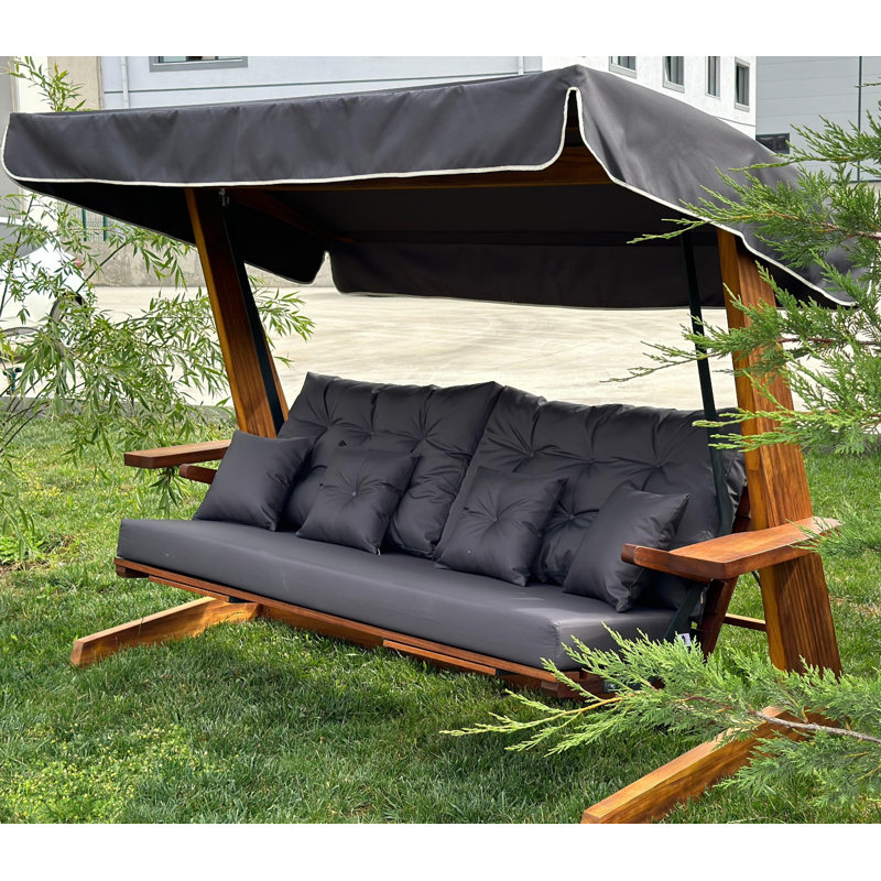 Chaniyah 3 Person Porch Swing with Canopy