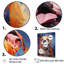 Bulldog Boldness I sur toile-372824103-372824080