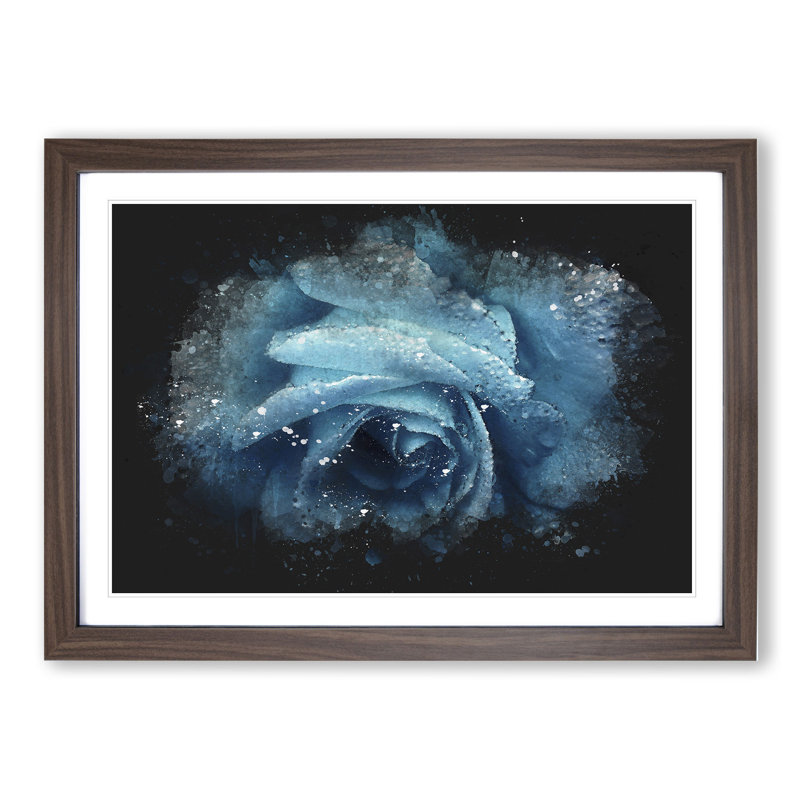 Blue Rose Flower Vol.1 - Picture Frame Graphic Art, 48cm H x 65cm W x 2cm D, Walnut