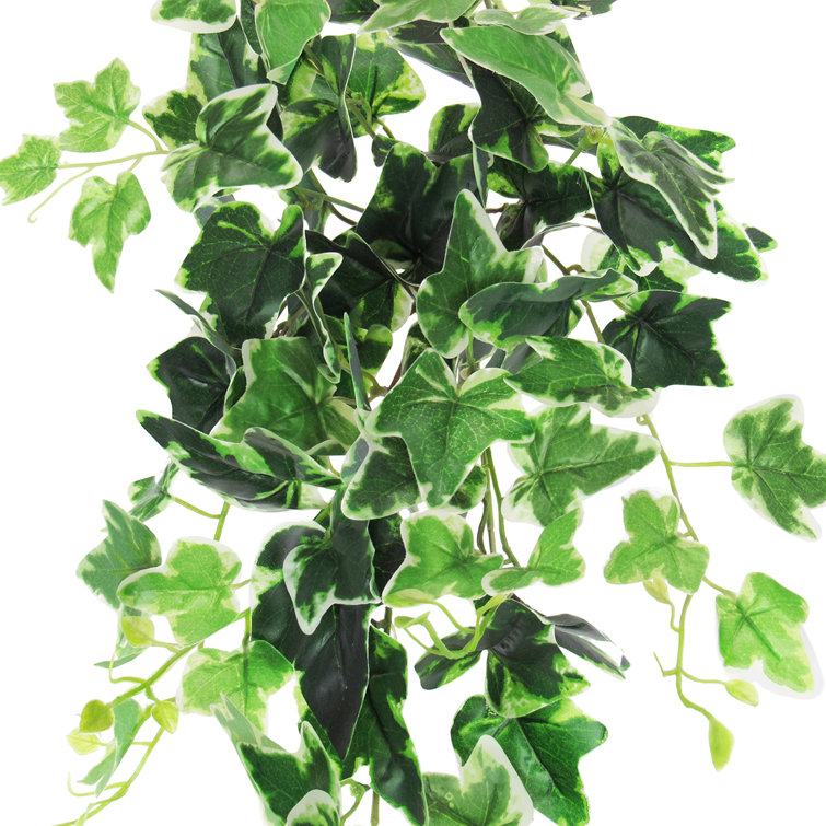 Artificial Varigated Ivy Hanging Bush Astoria Grand Size: 28 H x 8 W x 10 D