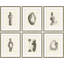 Sculpture I, II, III, IV, V & VI Print by Susan Hable