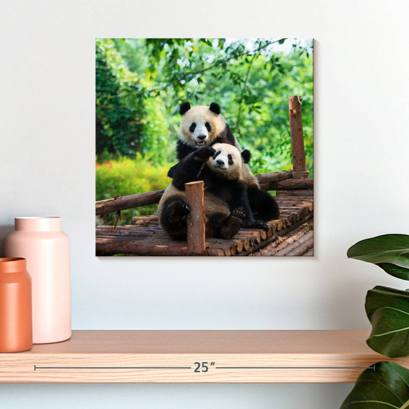 Crowle Panda Twins, 16" H x 16" W