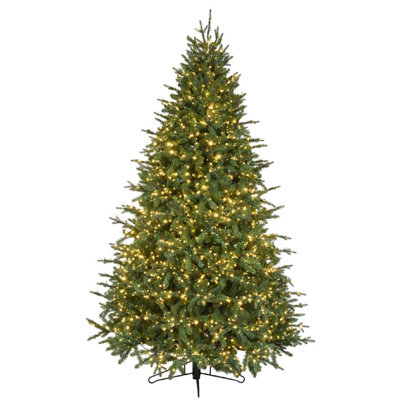 Lighted Christmas Tree