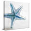 «Ocean Blue Starfish On Gray» par Lanie Loreth-495273249-495273250