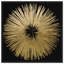 «Abstract Sunburst Golden Night», impression-66687861-119864311-51241194