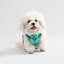 Harnais pour animal de compagnie Arlo-112400934-133570097