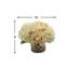 Mixed Hydrangeas In Mercury Glass Vase-1041833547