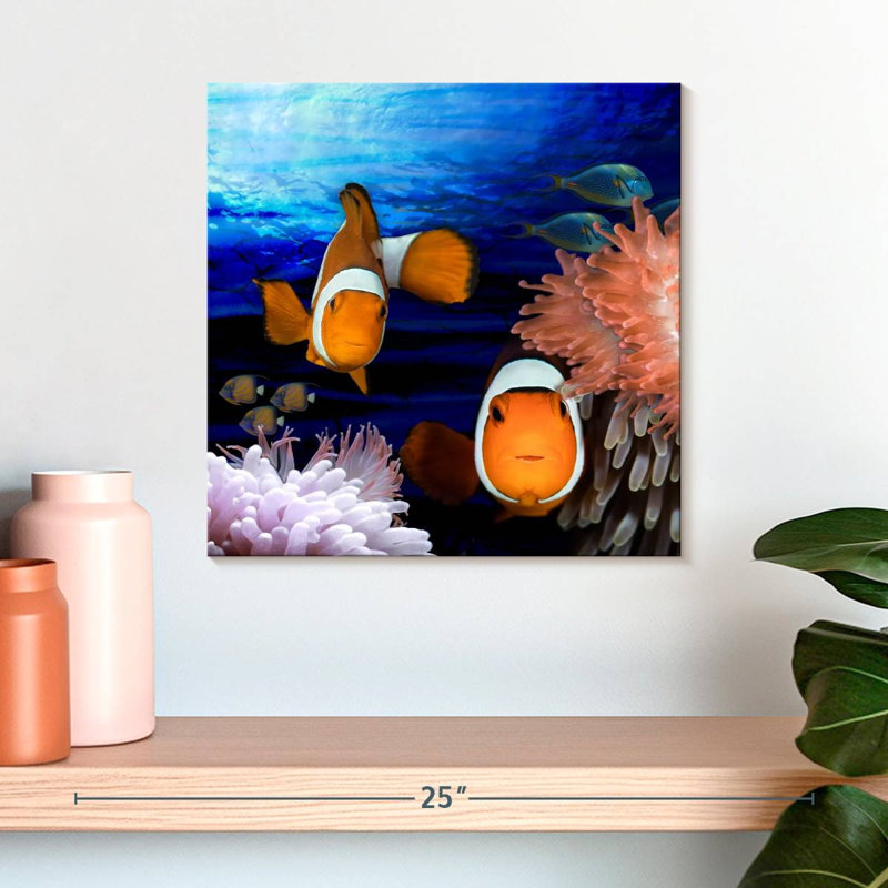 Crowle, créatures de la mer, poisson clown, H 16 po x l 16 po