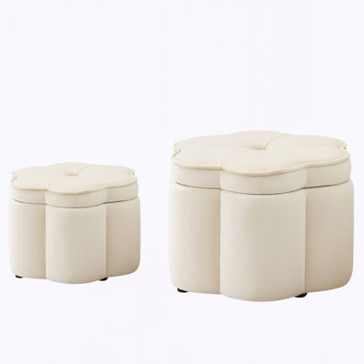 Set of 2 Ottoman with Storage