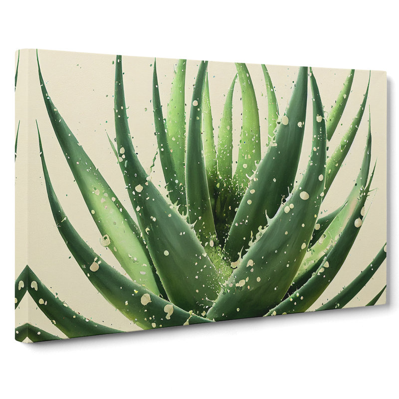 Angelical Aloe Vera Plant - Wrapped Canvas, 35cm H x 50cm W x 3cm D