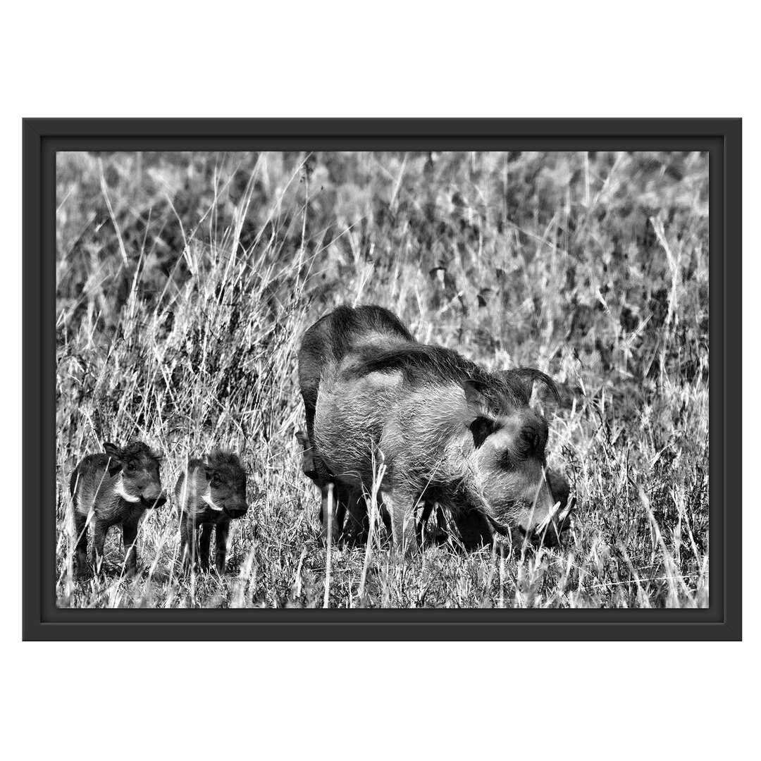 Gerahmtes Wandbild Warzenschweine Savanne