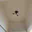 Customer photo 3 of 6