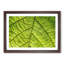 Leaf Roads - Picture Frame Graphic Art Print-56859861-56859863