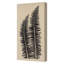 Gray Ferns Print by Briggs, Mary Margaret