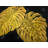 Gold Monstera Print On Canvas