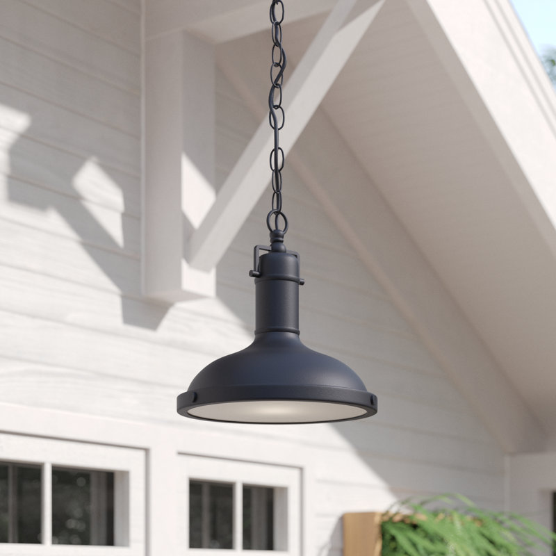 Luminaire suspendu d'extérieur noir à 1 lumière H 12,25 po Harriet