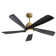 Damecia 52'' Ceiling Fan with LED Lights