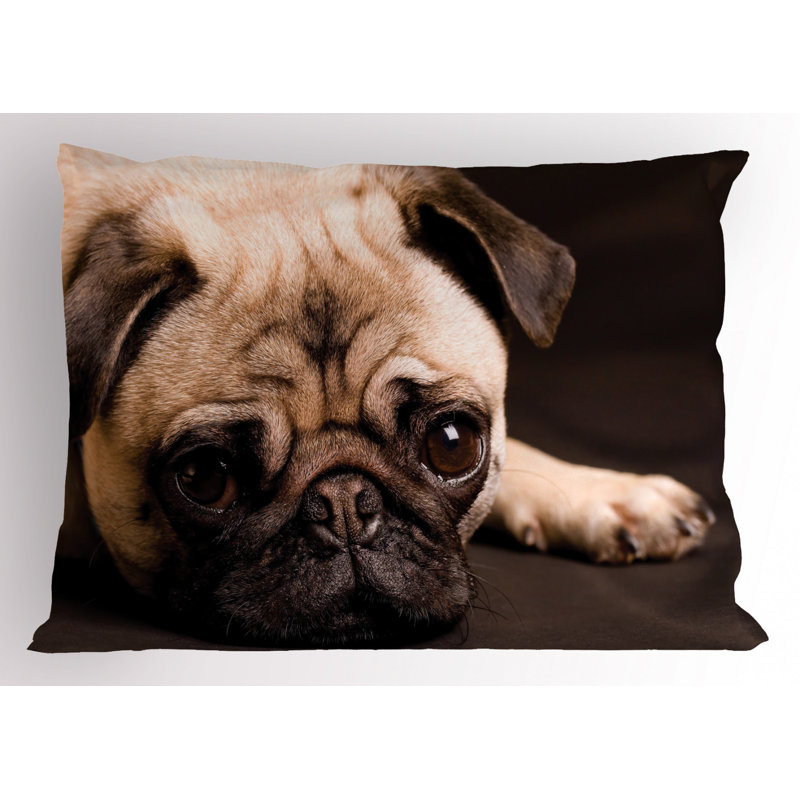 Polyester Sham Set, Twin