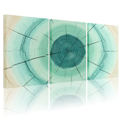 Ensemble de 3 tableaux abstraits sur toile tendue, motif anneaux d'arbre, pour salon, chambre et décoration intérieure.
