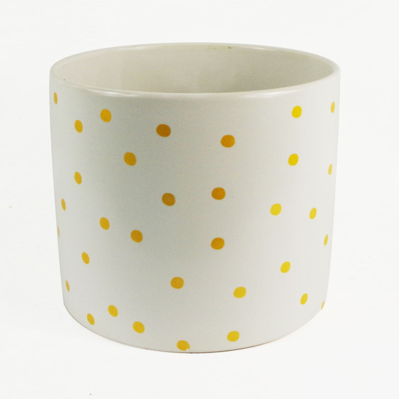 Ceramic Indoor Cachepot