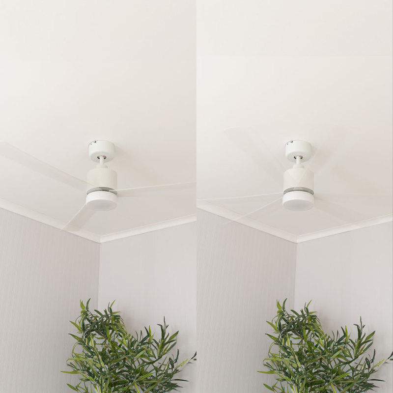 Okun 52cm Ceiling Fan with LED Lights