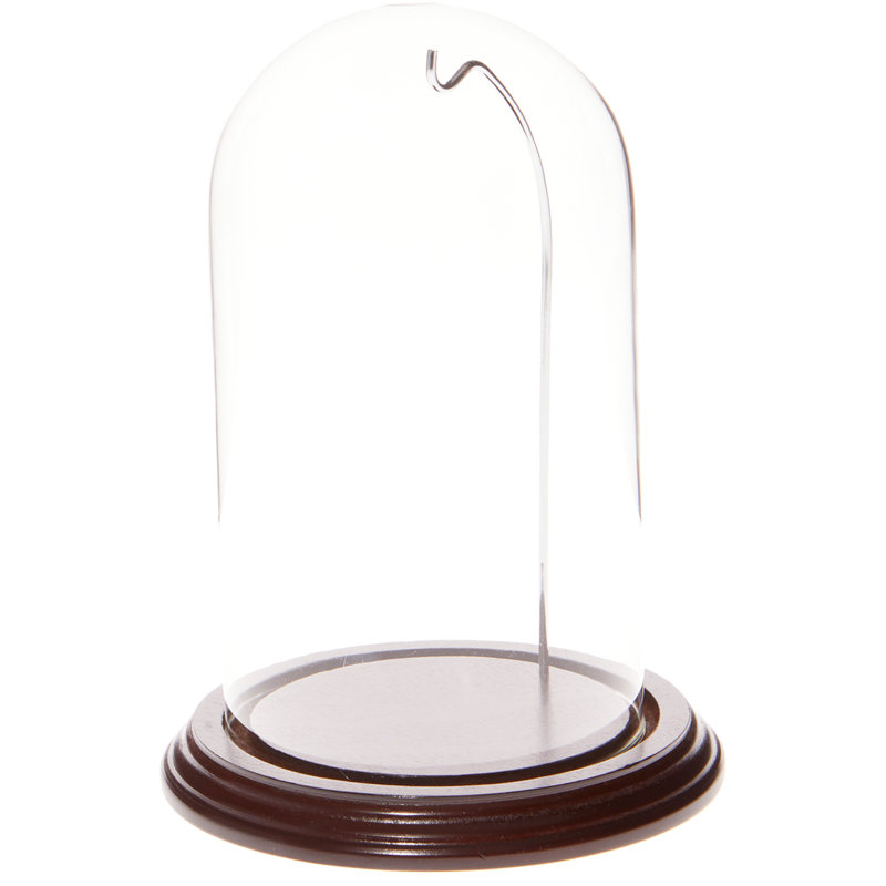 Cloche à dôme en verre 3 "x 4", Base en chêne / fil de laiton